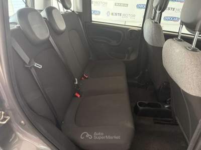 Fiat Panda 1.0 FireFly S&S Hybrid Grigio usata Este