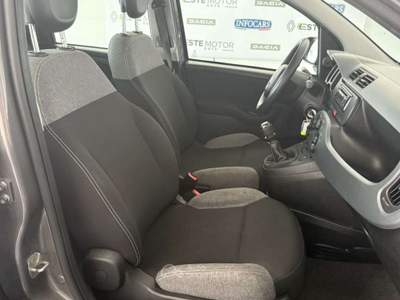 Fiat Panda 1.0 FireFly S&S Hybrid Grigio usata Este