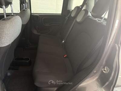 Fiat Panda 1.0 FireFly S&S Hybrid Grigio usata Este