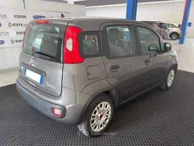 Fiat Panda 1.0 FireFly S&S Hybrid Grigio usata Este