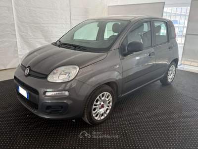 Fiat Panda 1.0 FireFly S&S Hybrid Grigio usata Este