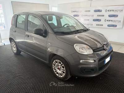 Fiat Panda 1.0 FireFly S&S Hybrid Grigio usata Este