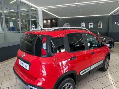 Fiat Panda Cross 1.3 MJT 95 CV S&S 4x4 Rosso usata Rosarno