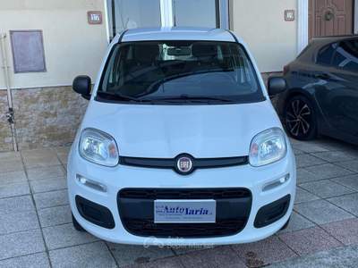 Fiat Panda 1.3 MJT 95CV Easy my19 "Auto Aziendale con soli 53 mila KM" Bianco usata COSOLETO