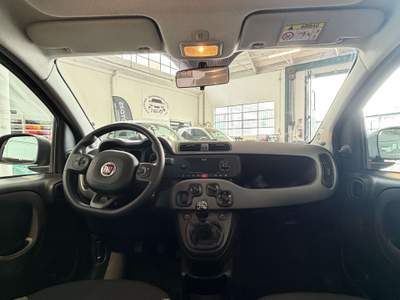 Fiat Panda Panda III 2021 1.0 firefly hybrid City Life s Nero usata Paderno Dugnano