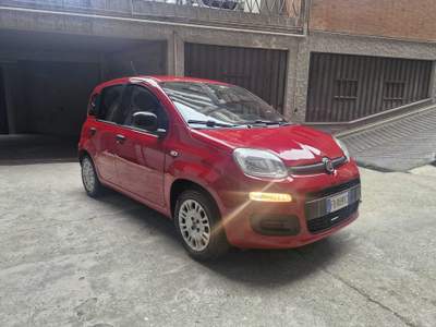 Fiat Panda REVISIONE APPENA ESEGUITA Rosso usata Sant'Omero
