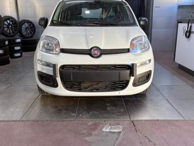 Fiat Pandina 1.0 FireFly 65 CV Hybrid Pop Grigio usata Civita Castellana