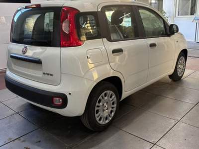 Fiat Pandina 1.0 FireFly 65 CV Hybrid Pop Grigio usata Civita Castellana