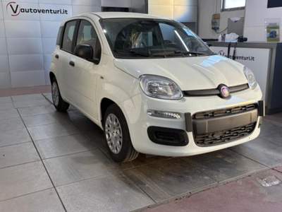 Fiat Pandina 1.0 FireFly 65 CV Hybrid Pop Grigio usata Civita Castellana