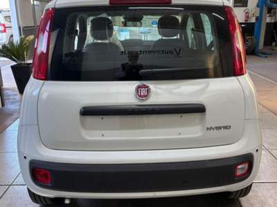 Fiat Pandina 1.0 FireFly 65 CV Hybrid Pop Grigio usata Civita Castellana