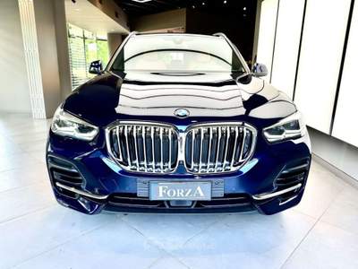 BMW X5 G05 xdrive 40d mhev 48V auto Blu/Azzurro usata Venaria Reale