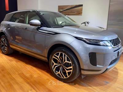 Land Rover Range Rover Evoque 2.0D I4 150CV AWD Business Edit. Premium Grigio usata Afragola