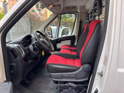Fiat Ducato 30 2.3 MJT 150CV PM CASSONATO DISTRIBUZIONE NUOVA Bianco usata Genova
