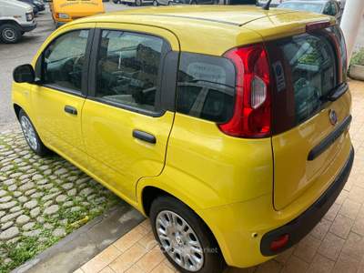 Fiat Pandina NUOVA DA IMMATRICOLARE Giallo usata Colleferro