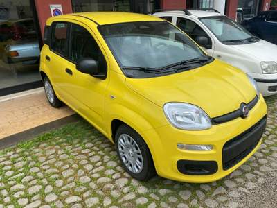 Fiat Pandina NUOVA DA IMMATRICOLARE Giallo usata Colleferro