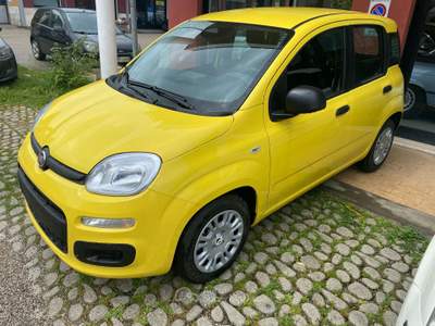 Fiat Pandina NUOVA DA IMMATRICOLARE Giallo usata Colleferro
