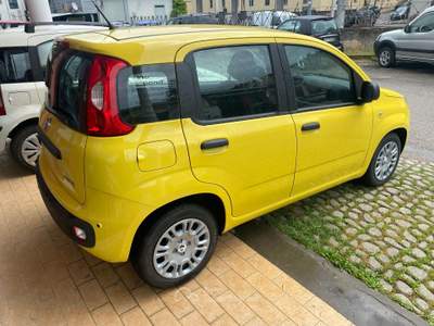 Fiat Pandina NUOVA DA IMMATRICOLARE Giallo usata Colleferro