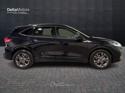 Ford Kuga  - kuga 2.0 ecoblue st-line design 2wd 120cv au Nero usata Montecosaro
