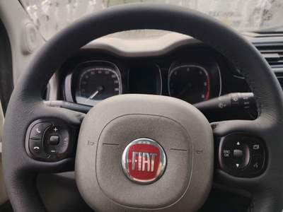 Fiat Panda S&S 4x4 - NEOPATENTATI Bianco usata Massarosa