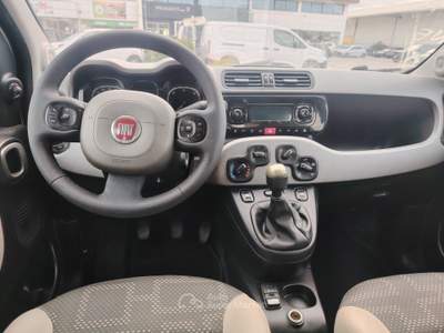 Fiat Panda S&S 4x4 - NEOPATENTATI Bianco usata Massarosa
