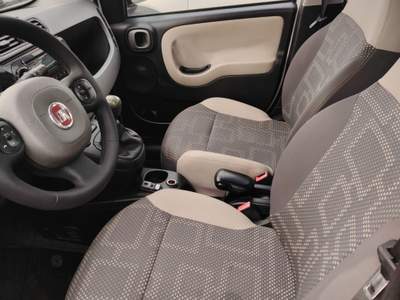 Fiat Panda S&S 4x4 - NEOPATENTATI Bianco usata Massarosa