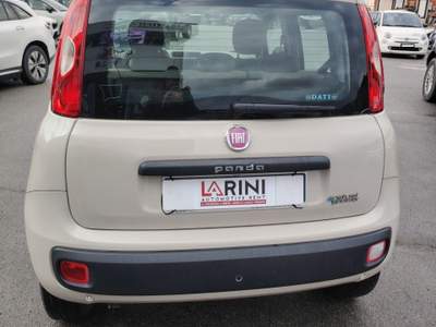 Fiat Panda Turbo Natural Power Lounge- METANO Beige usata Massarosa