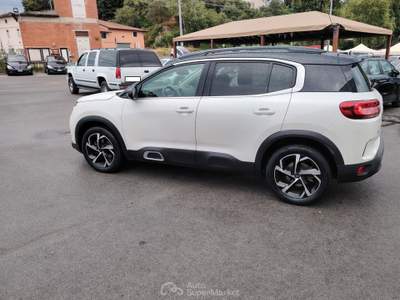Citroen C5 Aircross C5 Aircross BlueHDi 130 S&S EAT8 Shine Bianco usata Massarosa