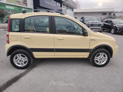 Fiat Panda 1.2 4x4 Climbing - NEOPATENTATI Giallo usata Massarosa