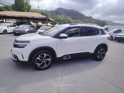 Citroen C5 Aircross S&S Shine - Bianco usata Massarosa