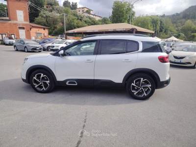 Citroen C5 Aircross S&S Shine - Bianco usata Massarosa