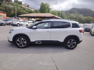Citroen C5 Aircross S&S Shine - Bianco usata Massarosa