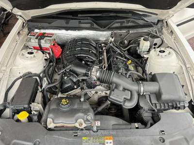 Ford Mustang V6 CoupÃ© 305 CV Bianco usata Massarosa