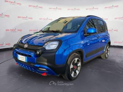 Fiat Panda 1.0 FireFly S&S Hybrid Blu/Azzurro usata Alba