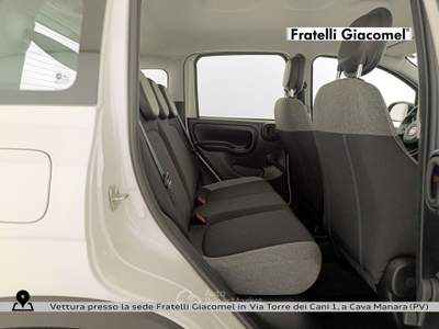 Fiat Panda 1.0 firefly hybrid s&s 70cv 5p.ti Bianco usata Assago