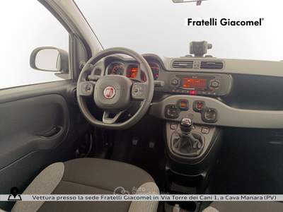 Fiat Panda 1.0 firefly hybrid s&s 70cv 5p.ti Bianco usata Assago