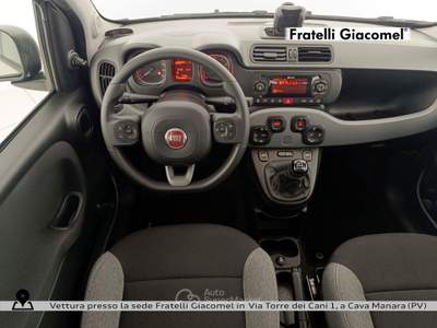 Fiat Panda 1.0 firefly hybrid s&s 70cv 5p.ti Bianco usata Assago