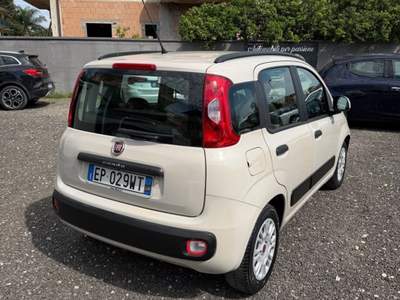 Fiat Panda lounge Beige usata Trentola Ducenta