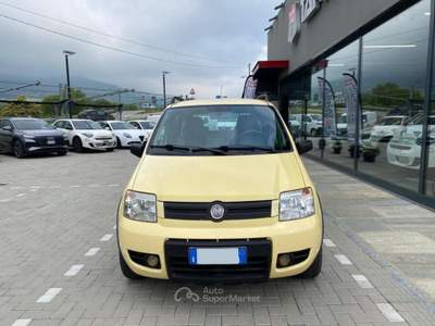 Fiat Panda 1.2 natural power Climbing Giallo usata Pinerolo