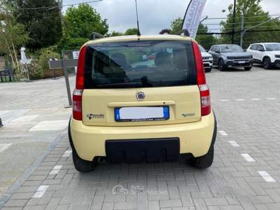 Fiat Panda 1.2 natural power Climbing Giallo usata Pinerolo