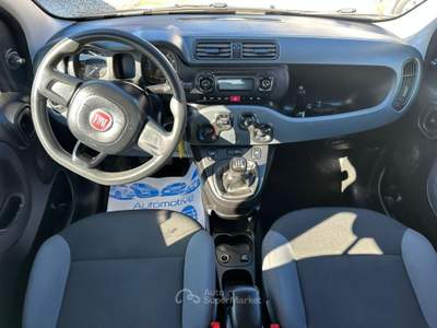 Fiat Panda 1.2 Pop 69cv GPL Nero usata Altidona