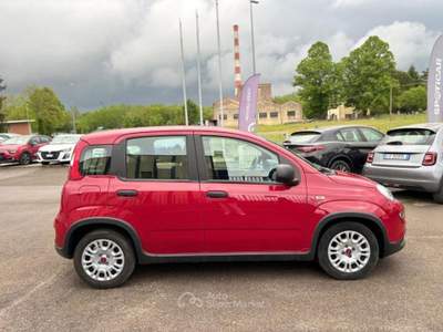 Fiat Panda PROMO 1.0 firefly hybrid s&amp;s 70cv Rosso usata Borgo San Lorenzo