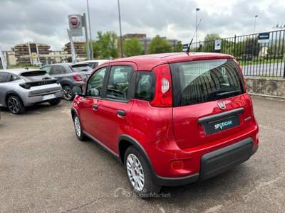 Fiat Panda PROMO 1.0 firefly hybrid s&amp;s 70cv Rosso usata Borgo San Lorenzo