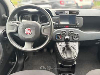 Fiat Panda PROMO 1.0 firefly hybrid s&amp;s 70cv Rosso usata Borgo San Lorenzo