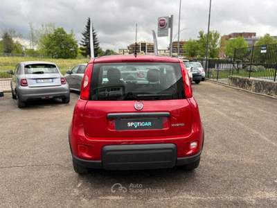 Fiat Panda PROMO 1.0 firefly hybrid s&amp;s 70cv Rosso usata Borgo San Lorenzo