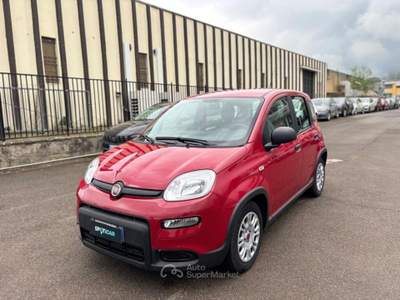 Fiat Panda PROMO 1.0 firefly hybrid s&amp;s 70cv Rosso usata Borgo San Lorenzo