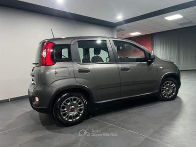 Fiat Panda 1.0 FireFly S&S Hybrid Grigio usata Atena lucana