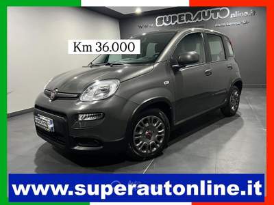Fiat Panda 1.0 FireFly S&S Hybrid Grigio usata Atena lucana