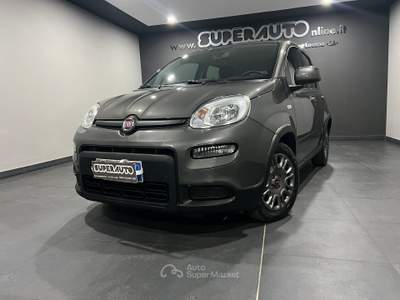 Fiat Panda 1.0 FireFly S&S Hybrid Grigio usata Atena lucana