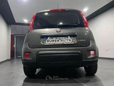 Fiat Panda 1.0 FireFly S&S Hybrid Grigio usata Atena lucana
