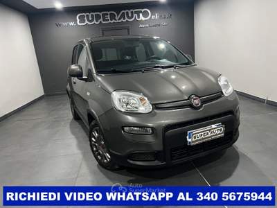 Fiat Panda 1.0 FireFly S&S Hybrid Grigio usata Atena lucana